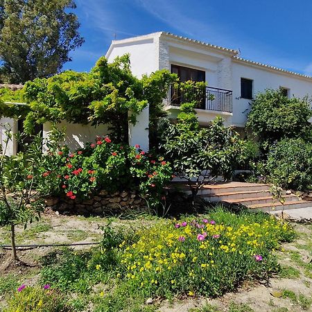 Cortijo Nerja Artist Paradise Εξωτερικό φωτογραφία