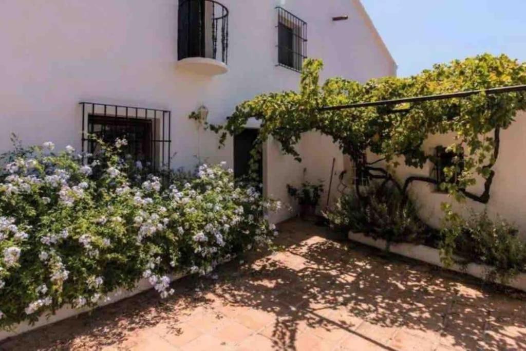 Cortijo Nerja Artist Paradise Εξωτερικό φωτογραφία