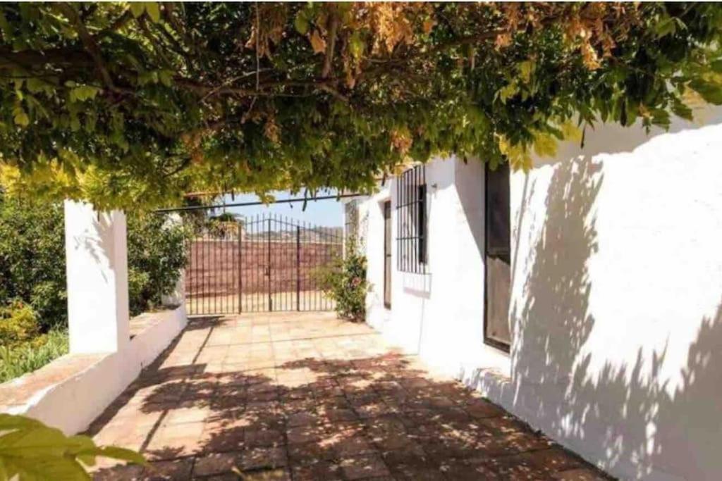 Cortijo Nerja Artist Paradise Εξωτερικό φωτογραφία