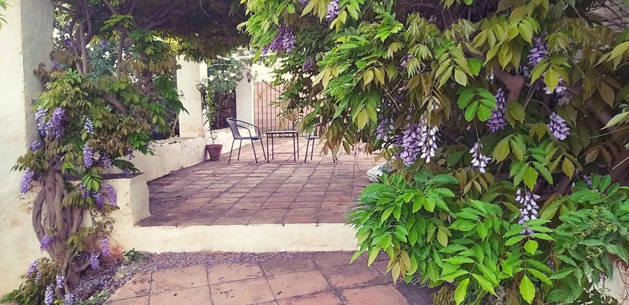 Cortijo Nerja Artist Paradise Εξωτερικό φωτογραφία