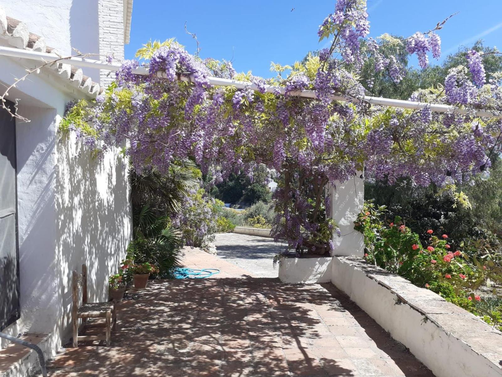 Cortijo Nerja Artist Paradise Εξωτερικό φωτογραφία