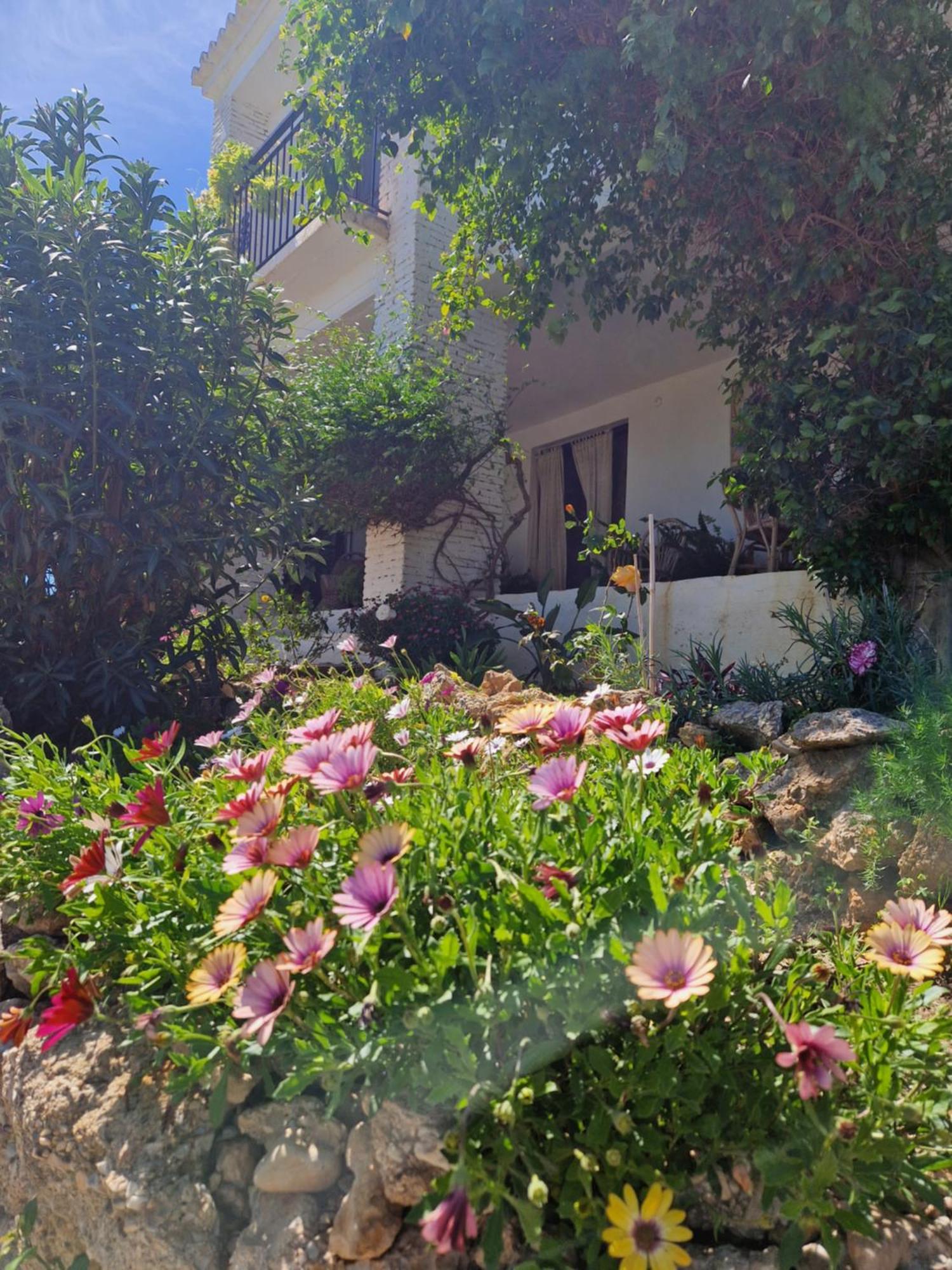 Cortijo Nerja Artist Paradise Εξωτερικό φωτογραφία