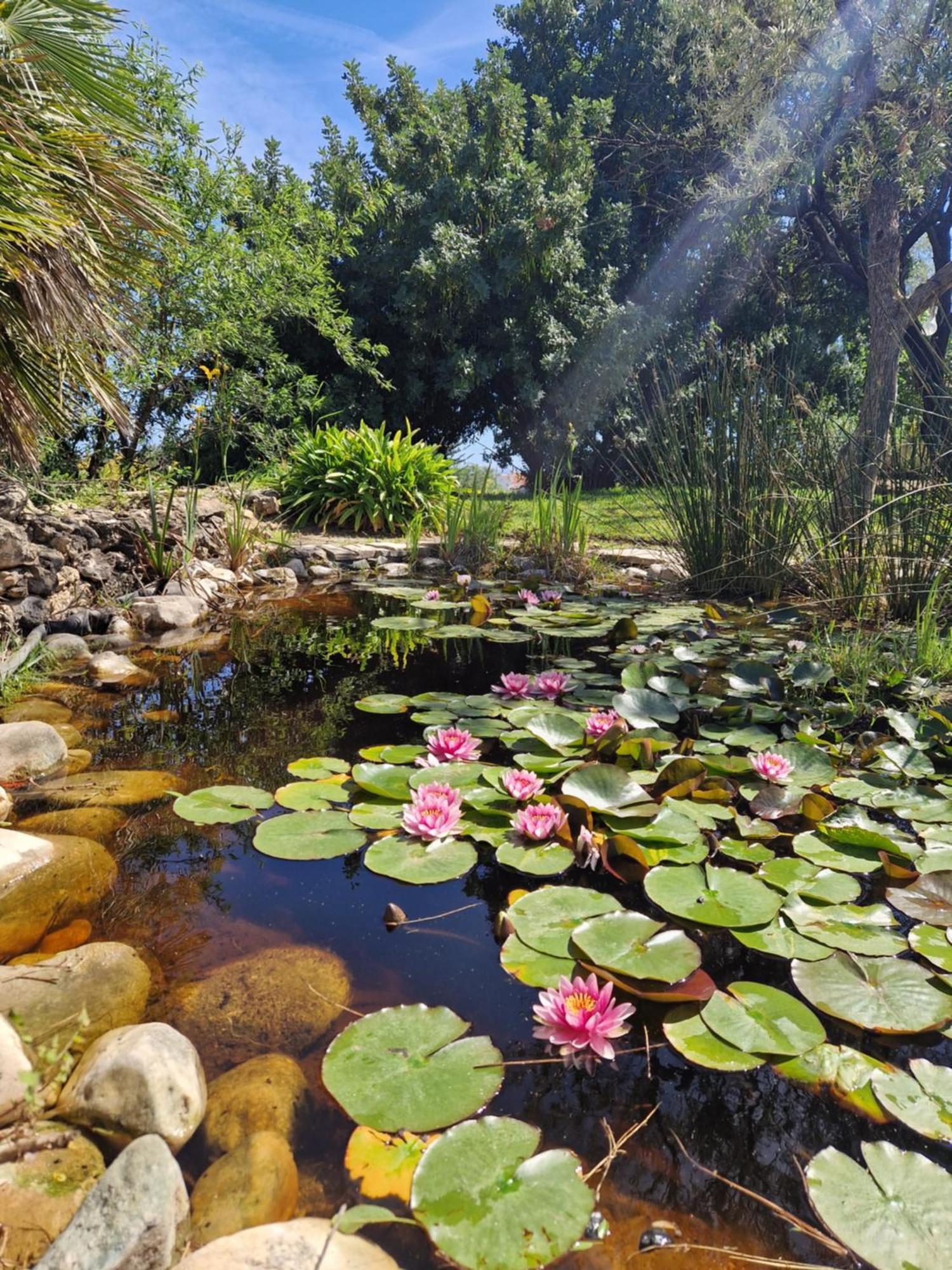 Cortijo Nerja Artist Paradise Εξωτερικό φωτογραφία